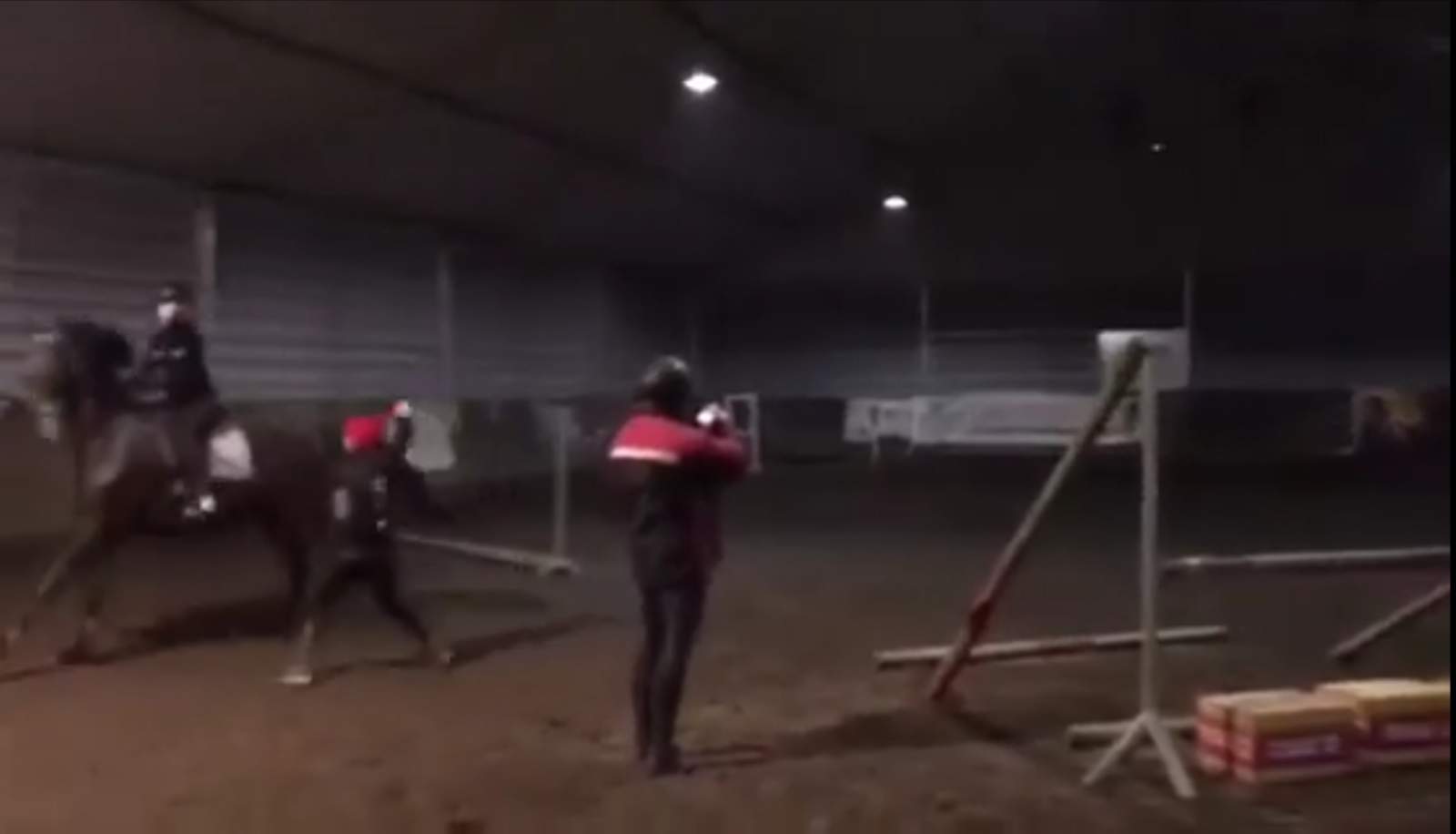 Kontrowersyjna tresura koni