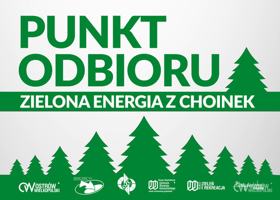Oddaj choinkę, trafi do pieca