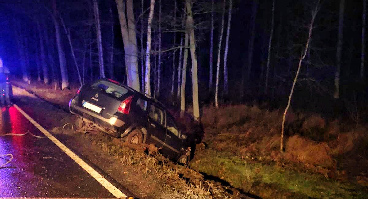 Uderzył w dziki, wjechał do rowu