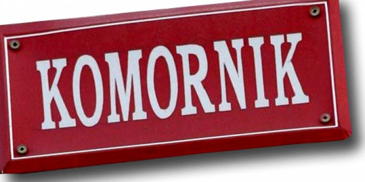 Komornicy ograniczają egzekucje