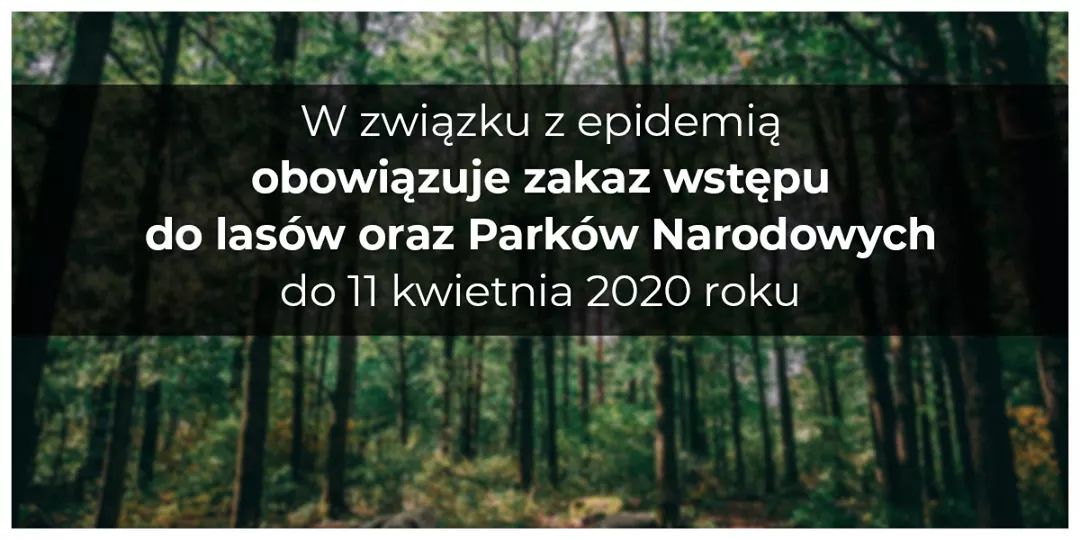 Zakazali wstępów do lasów