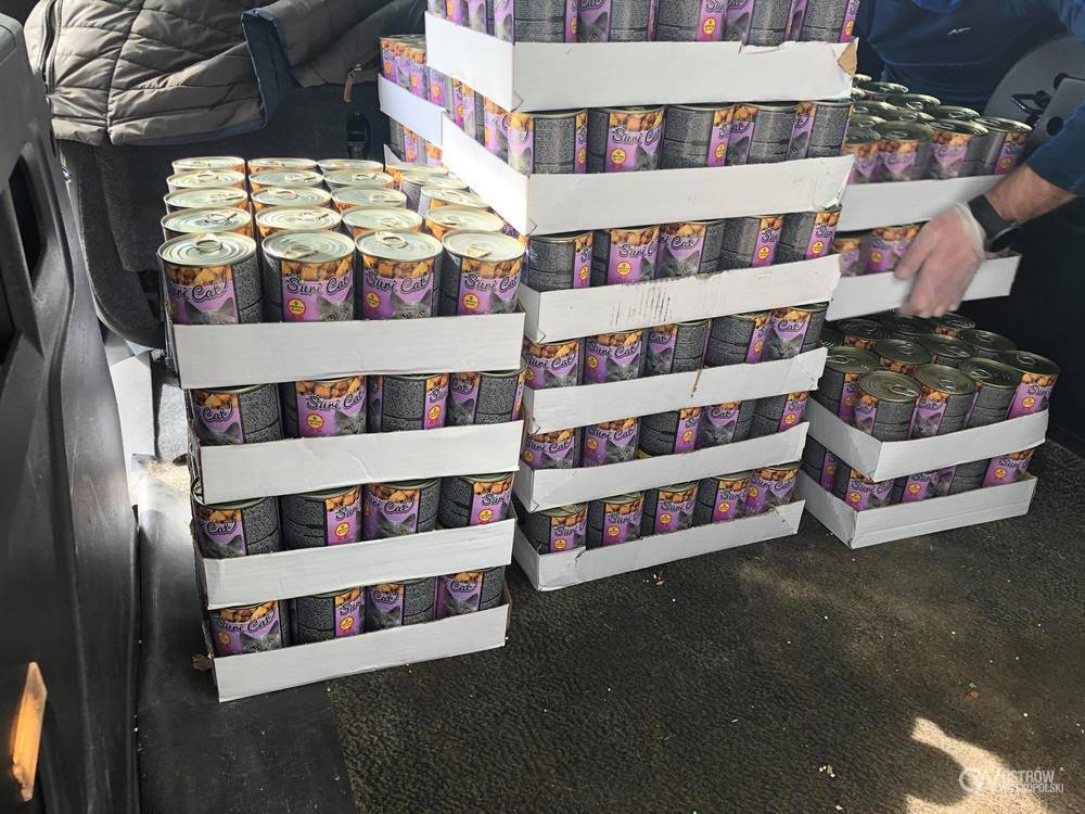 Miasto kupiło tonę karmy dla bezpańskich kotów