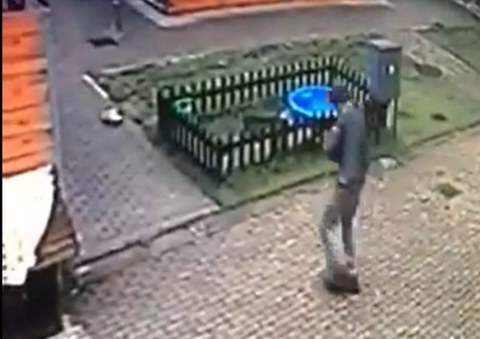 Ukradł psa ze schroniska. Dostał mandat