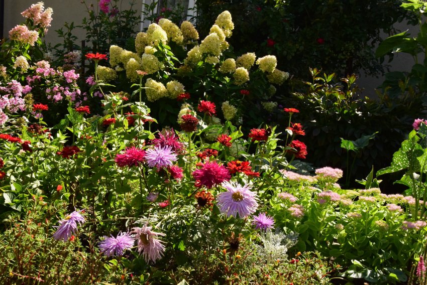 Wybrali najpiękniejsze ogrody w gminie Ostrów
