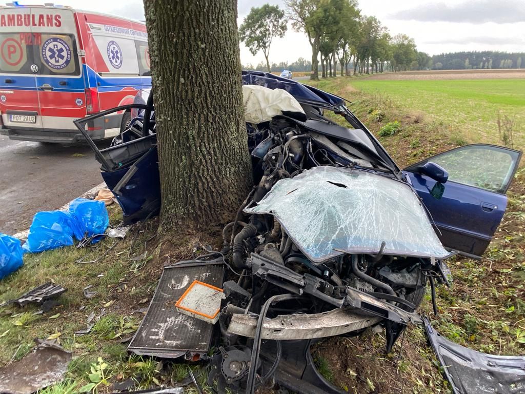 20-latka cudem przeżyła uderzając audi w drzewo