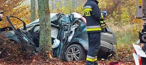 Fordem wjechał w drzewo. Był reanimowany