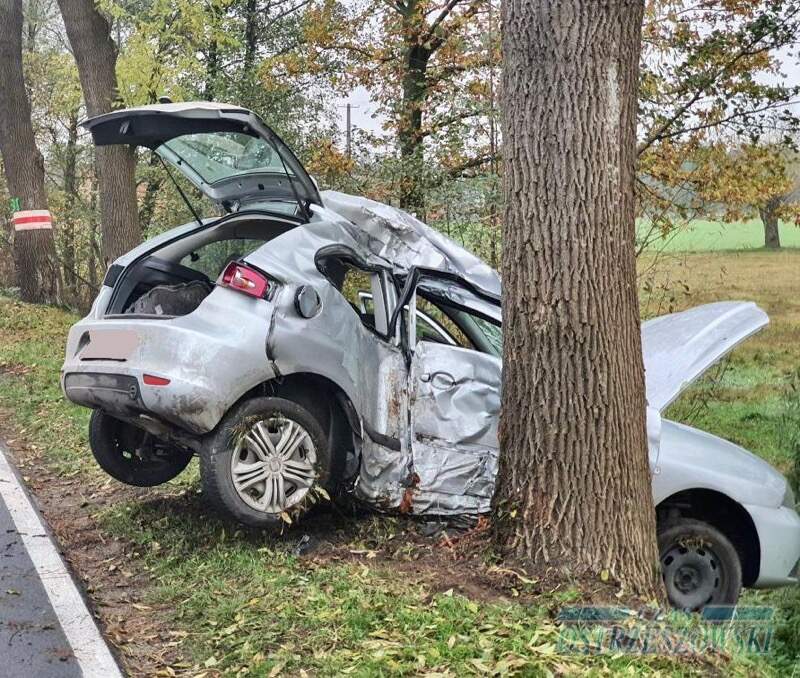 Seat roztrzaskał się na drzewie. Kierowca nieprzytomny