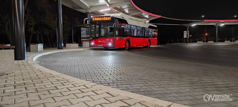 Ale wymyślili imiona dla autobusów