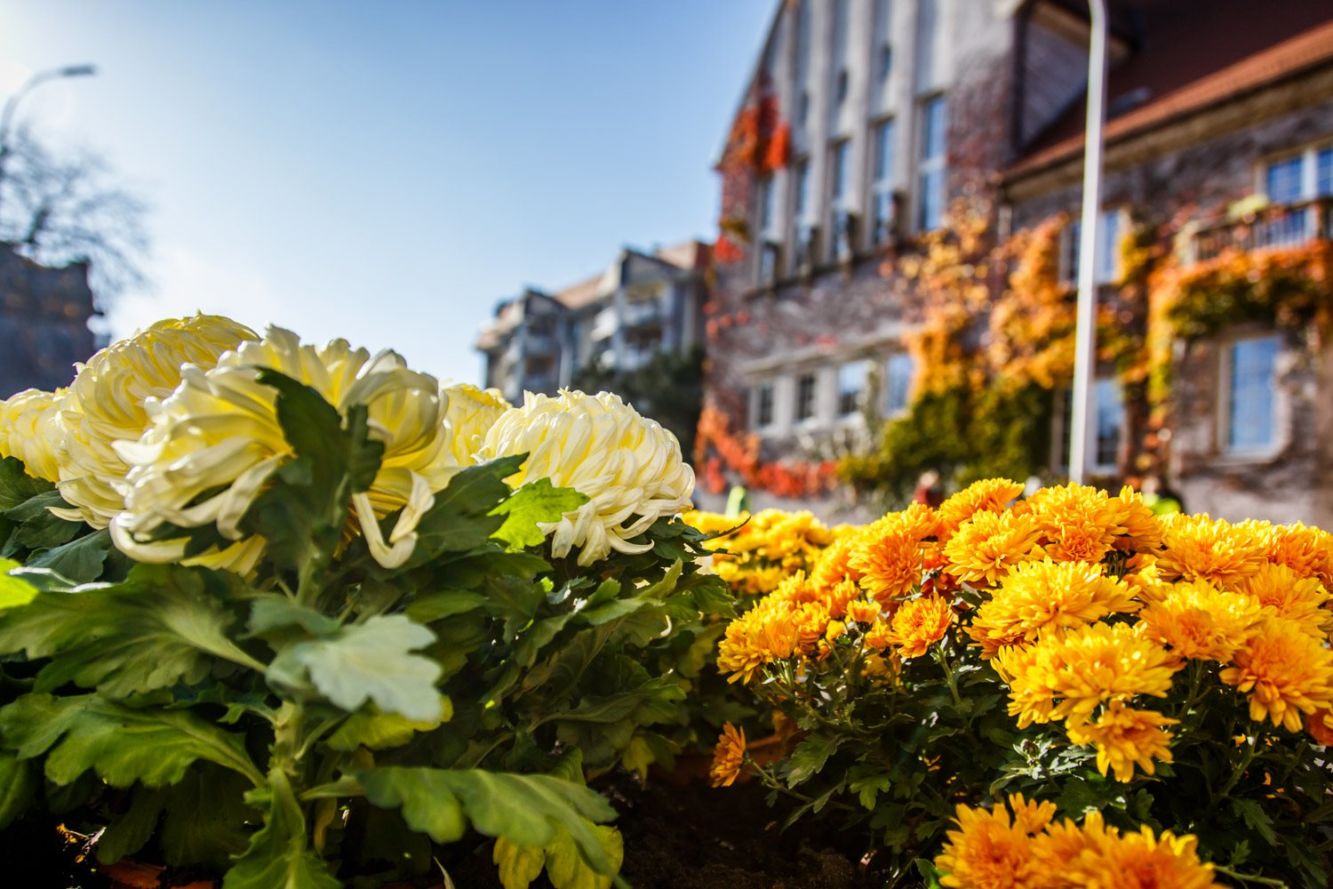 Cwany ogrodnik chciał wyłudzić sporo pieniędzy. Są ustalenia śledczych