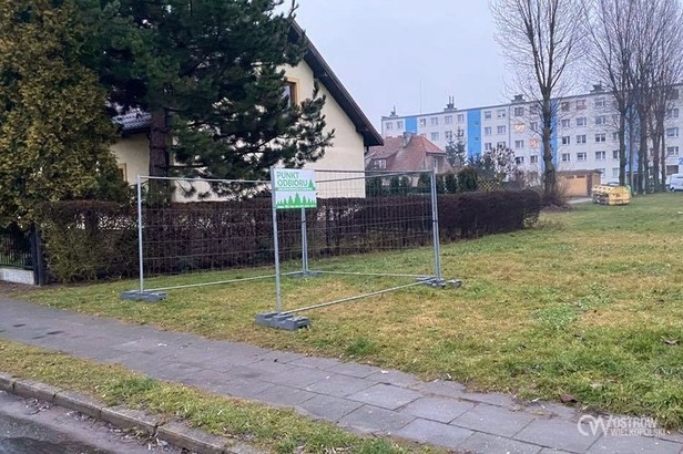 Można już oddawać choinki. Wyprodukują z nich energię