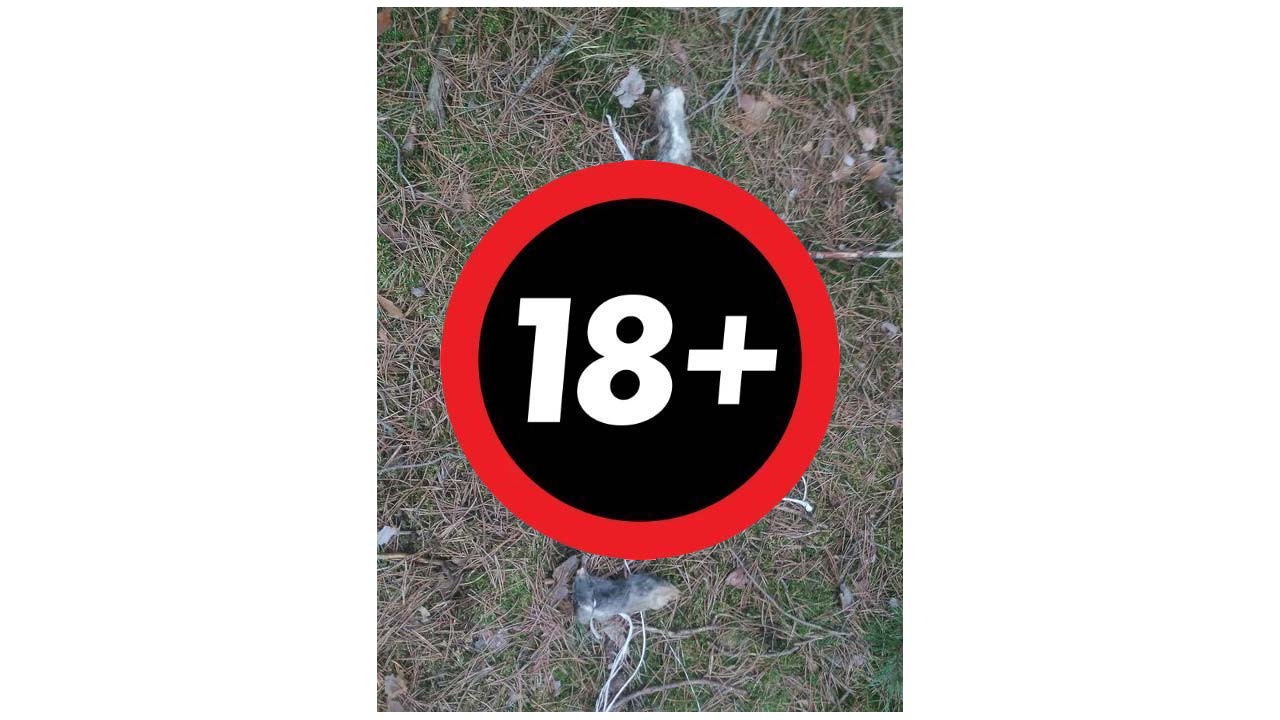 Znalazł w worku zwłoki dwóch psów