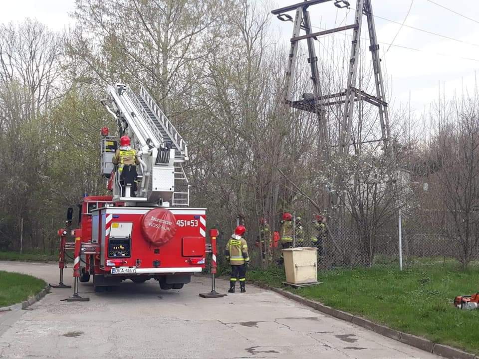 12-latka poraził prąd gdy wszedł na słup
