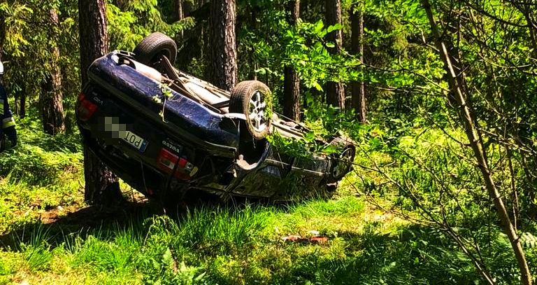 Volvo wpadło do lasu