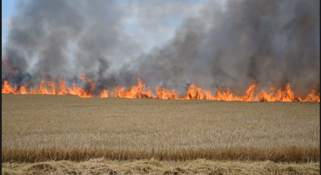 Duży pożar w Granowcu