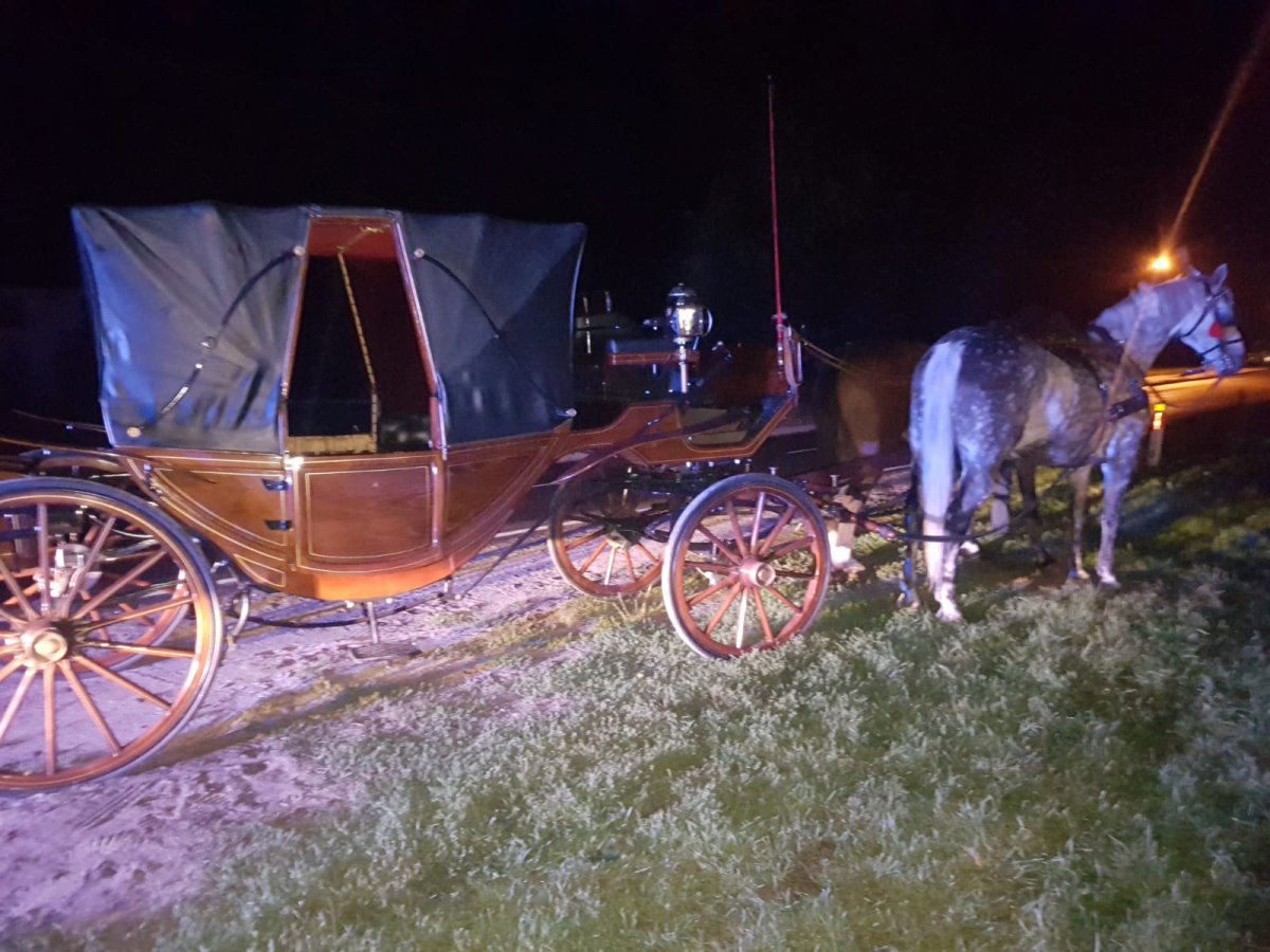 Po pijaku wypadł z jadącej bryczki