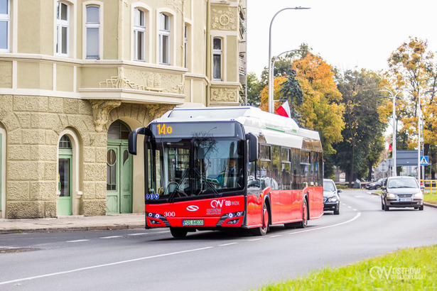 Rozkład jazdy autobusów na 1. listopada