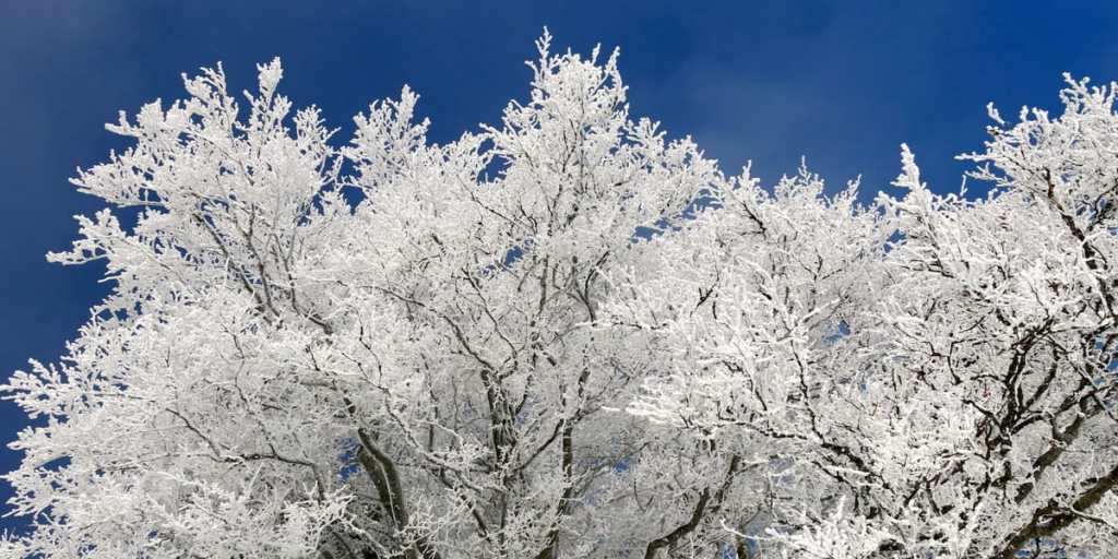 Zima zaatakuje przed Świętami