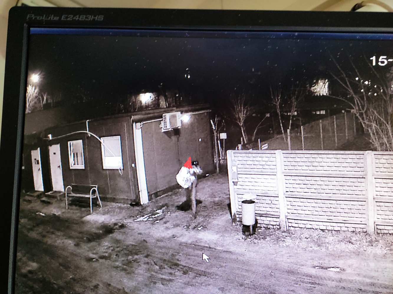 Ukradł psa ze schroniska. Wiemy dlaczego nie mógł adoptować