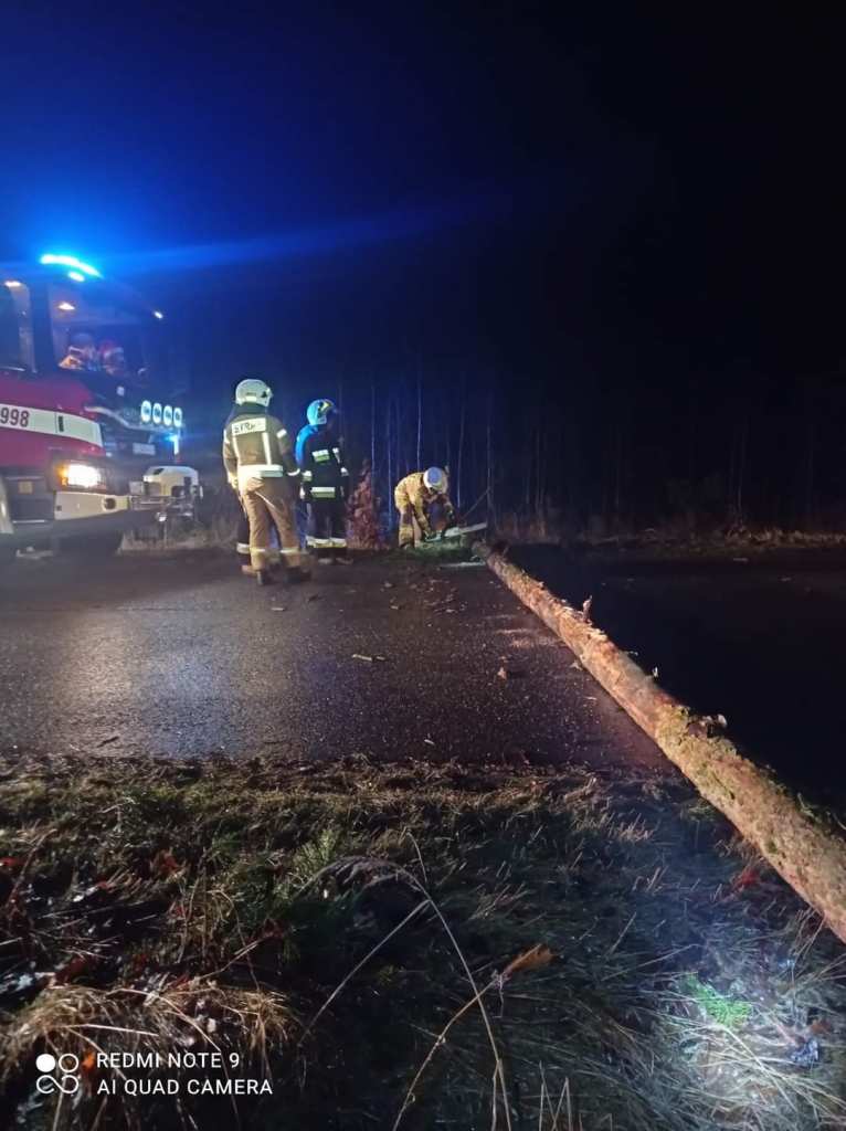 Strażacy usuwali przewrócone drzewo