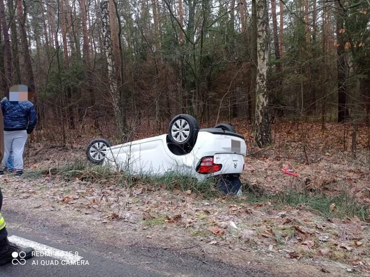 Dachowanie w Chynowej