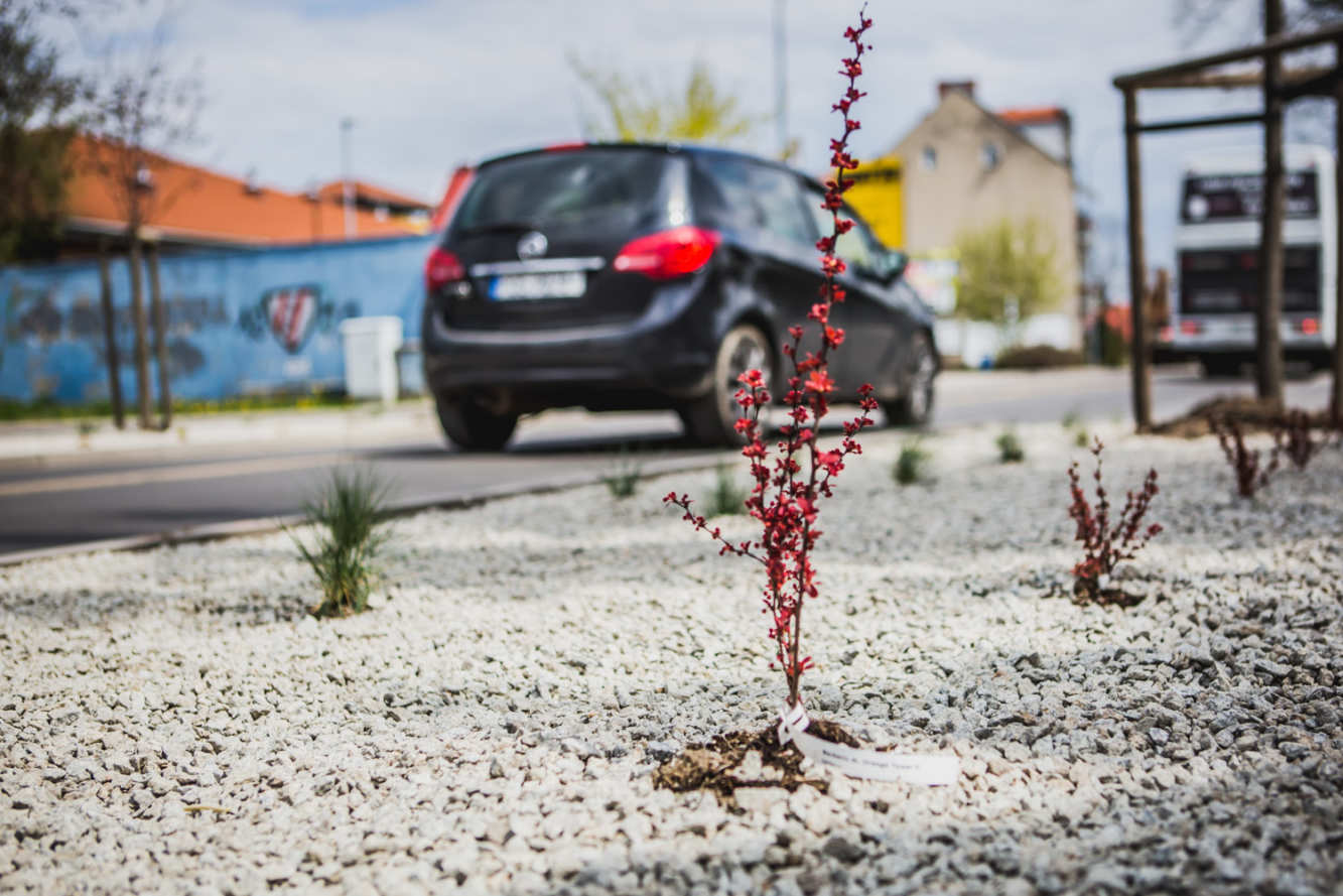 Jak oceniacie ulicę Kaliską po remoncie?