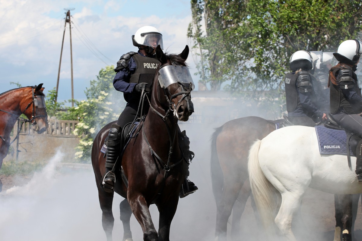 1 koń zastępuje 20 policjantów
