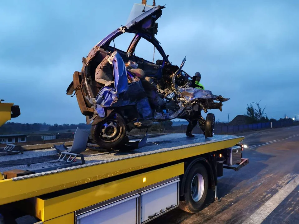 Dwóch mężczyzn i pies nie żyją po wypadku na DK11