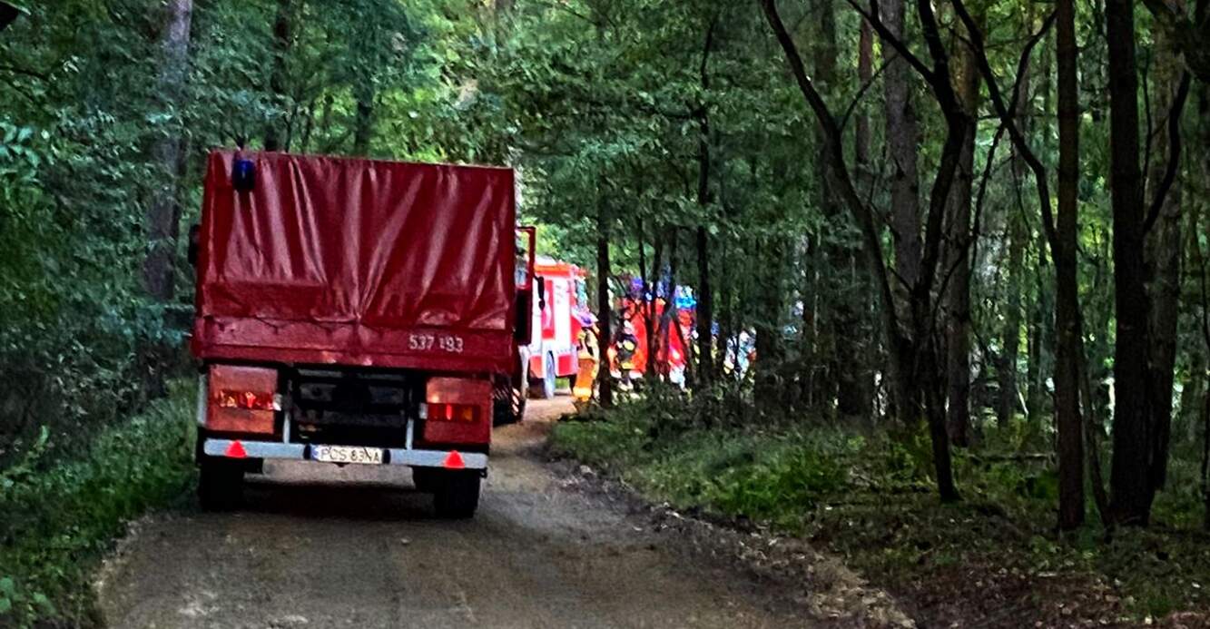 Dwa auta wpadły do stawu. Interwencja służb (zdjęcia)