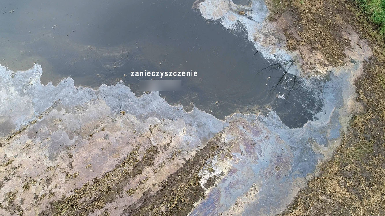 Ratują rzekę Barycz. Widać co do niej spływa (ZDJĘCIA)