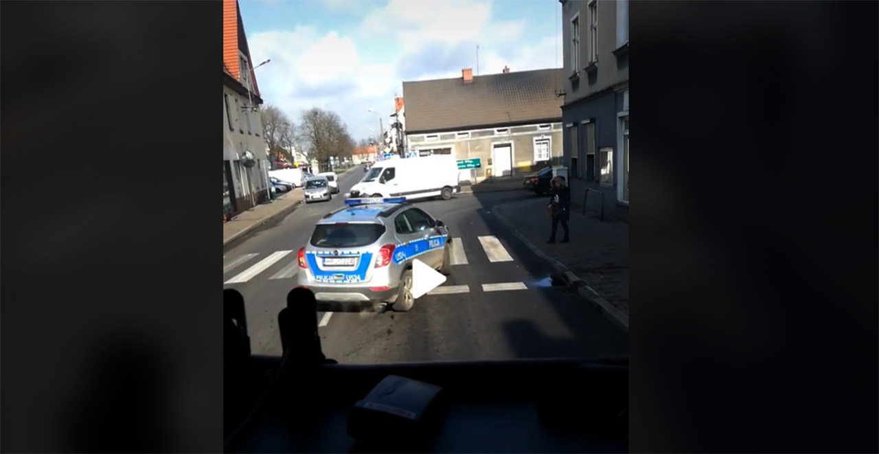 Policjant zlekceważył pieszego. Koledzy pouczą kierowcę?