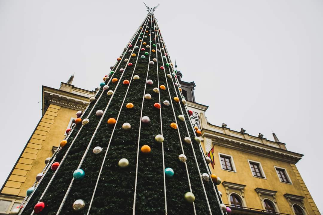 Choinka rozświetli rynek