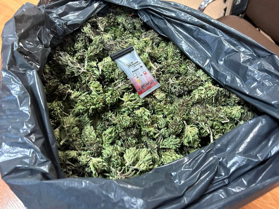 Trafili na niezłe ziółko