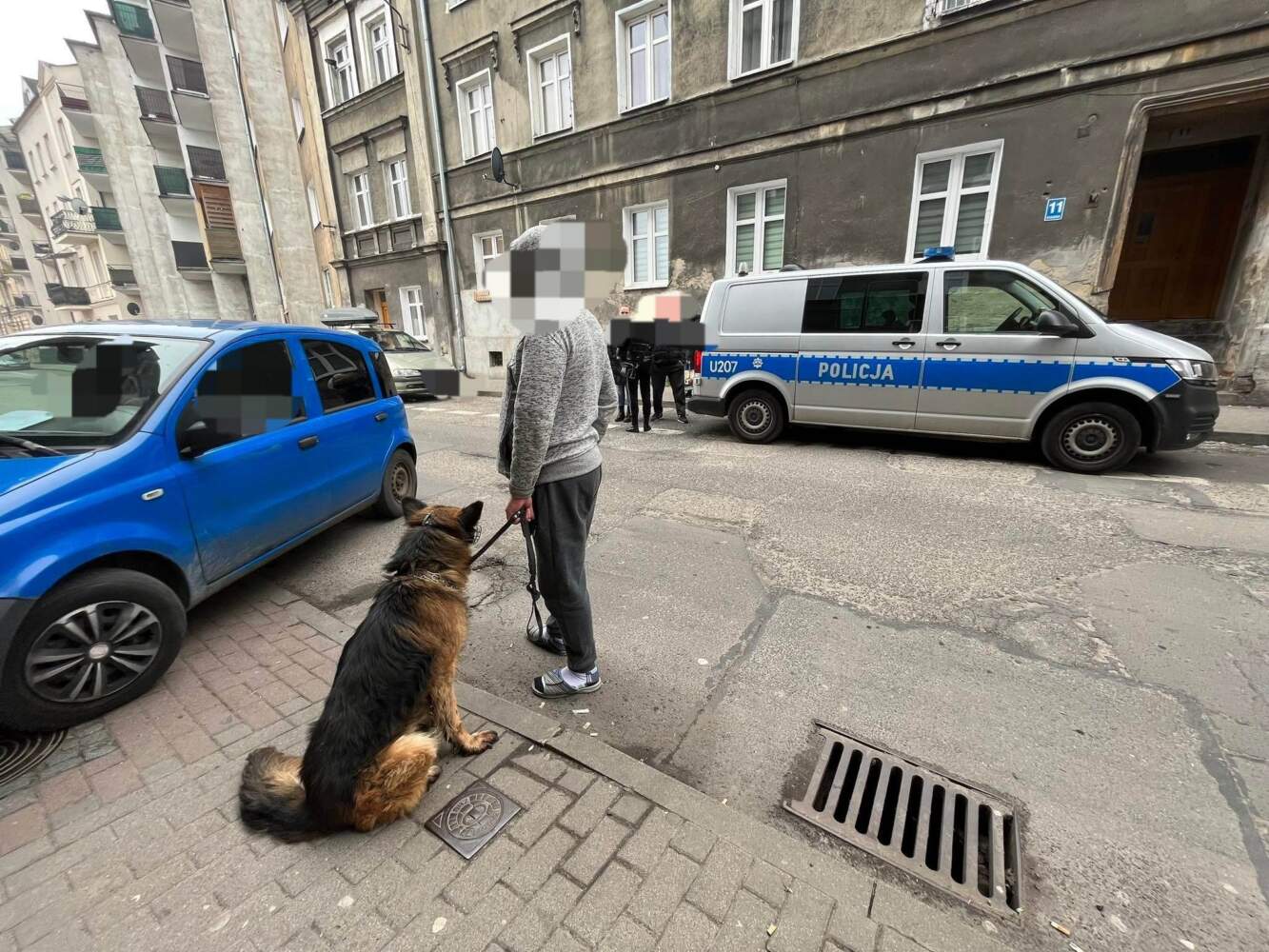 Pies odgryzł kobiecie rękę