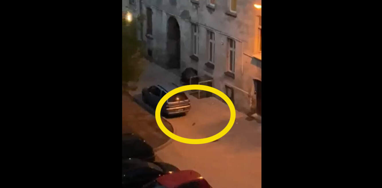 Zapłacisz 1500 zł jeśli tego nie zrobisz