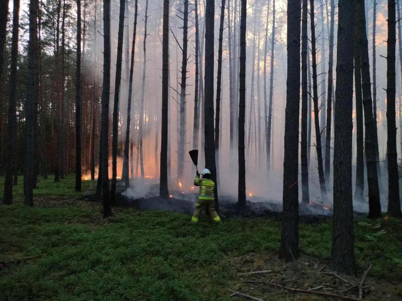9 godzinna akcja – pożar lasu