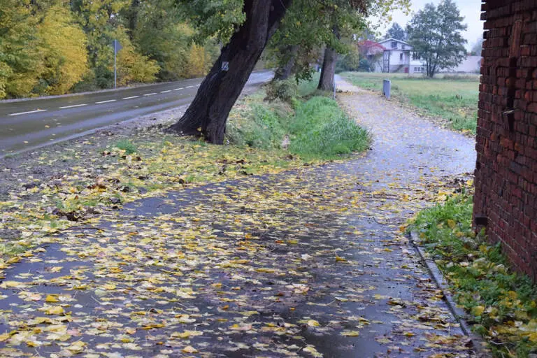 Zakończyła się modernizacja drogi i budowa ścieżki rowerowej przy drodze powiatowej z Odolanowa do Bonikowa w powiecie ostrowskim