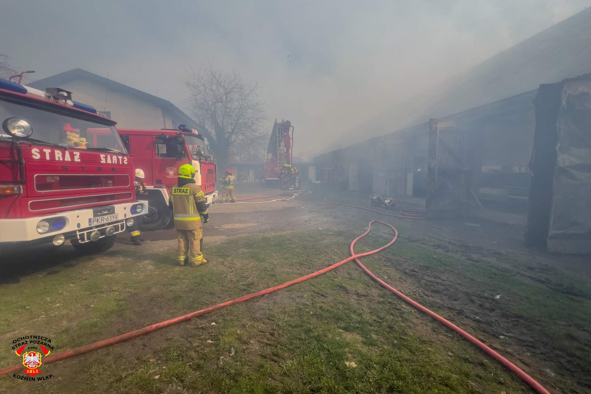 Spłonęła królikarnia. Kilkuset zwierząt nie udało się uratować