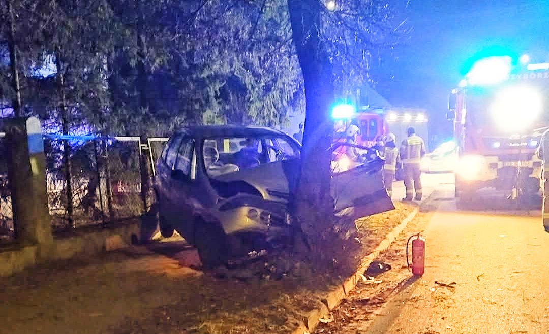 Mając trzy promile zatrzymał się na drzewie. Nie żyje (ZDJĘCIA) 1000141836