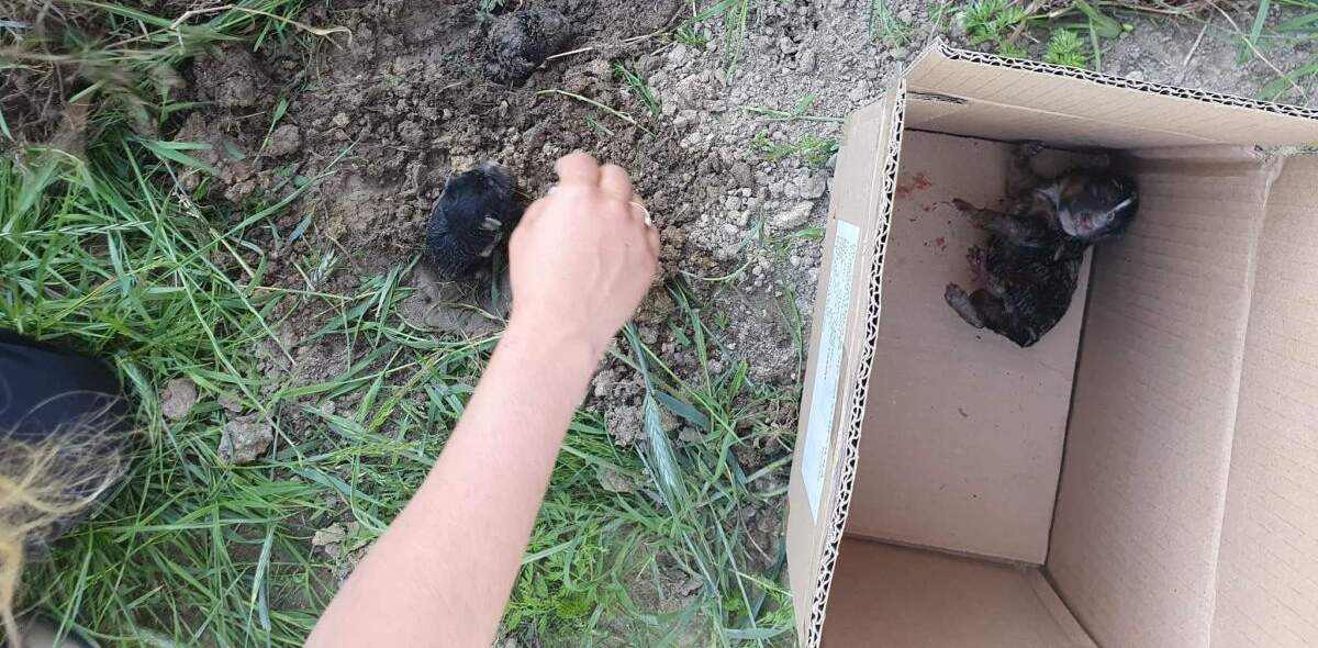 Zaskakująca zmiana wyroku. Sąd „dał wiarę”