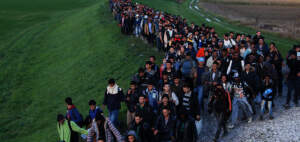 imigranci