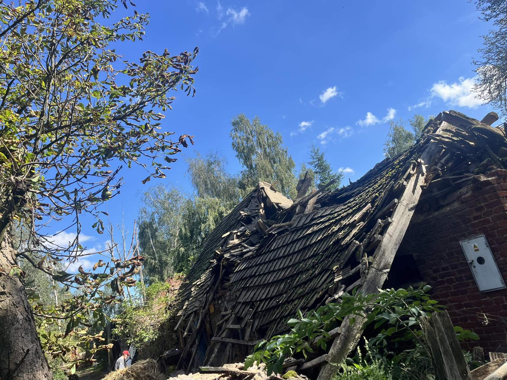 Zawalił się budynek ze zwierzętami