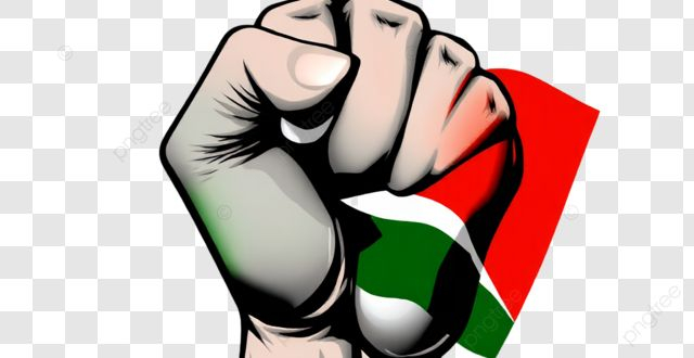 Demonstracja solidarności z Palestyną – zapowiedź