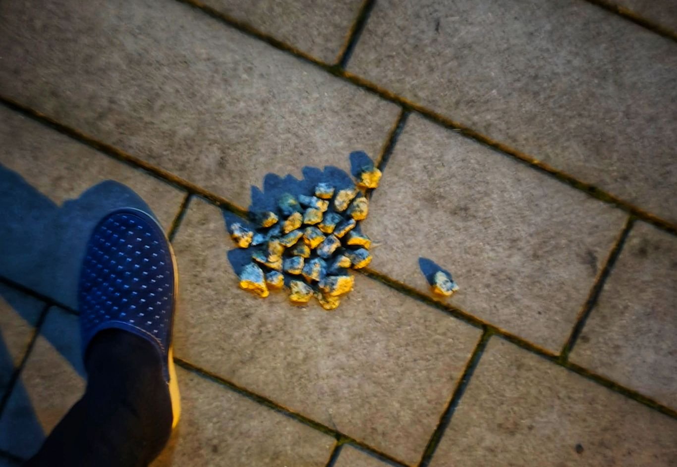 Dzieci na Halloween zaatakowały mieszkankę (ZDJĘCIA)