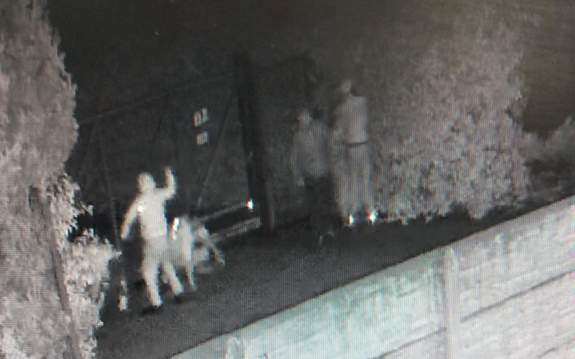 Sprawcy brutalnego pobicia będą deportowani!