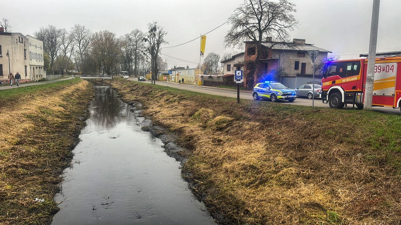 Ponowne zanieczyszczenie rzeki Barycz. Co tym razem?