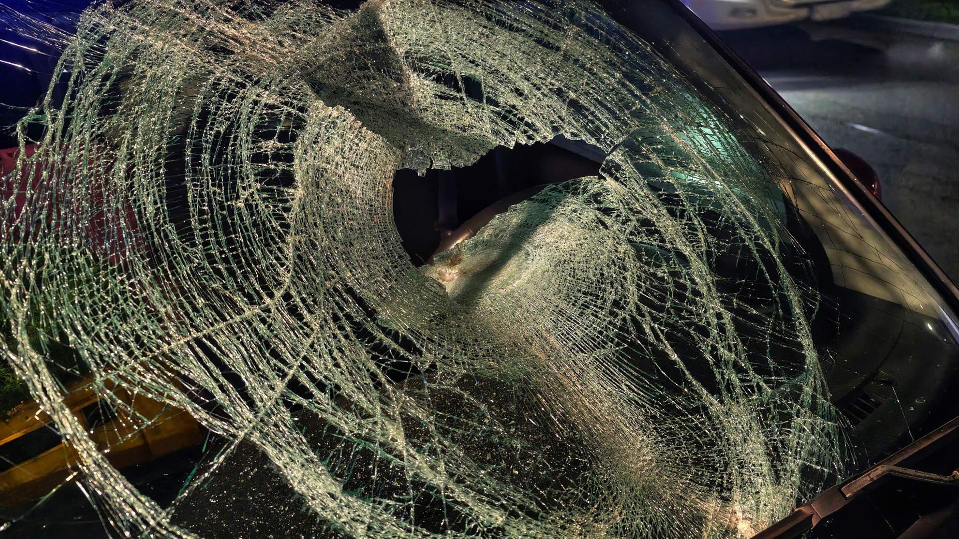 Nie żyje kobieta. Potrącił ją na pasach (ZDJĘCIA)