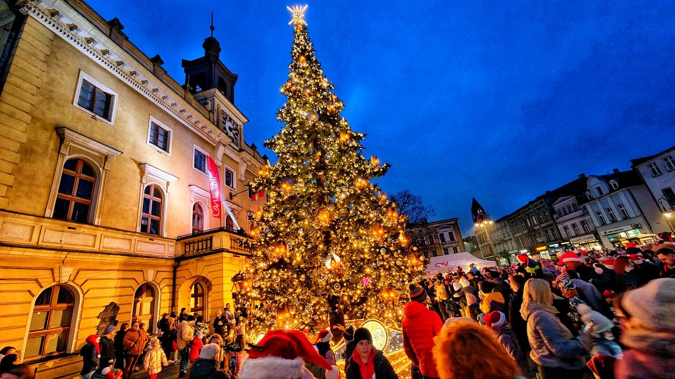 Nowa choinka na ostrowskim Rynku w pełnym blasku (ZDJĘCIA)
