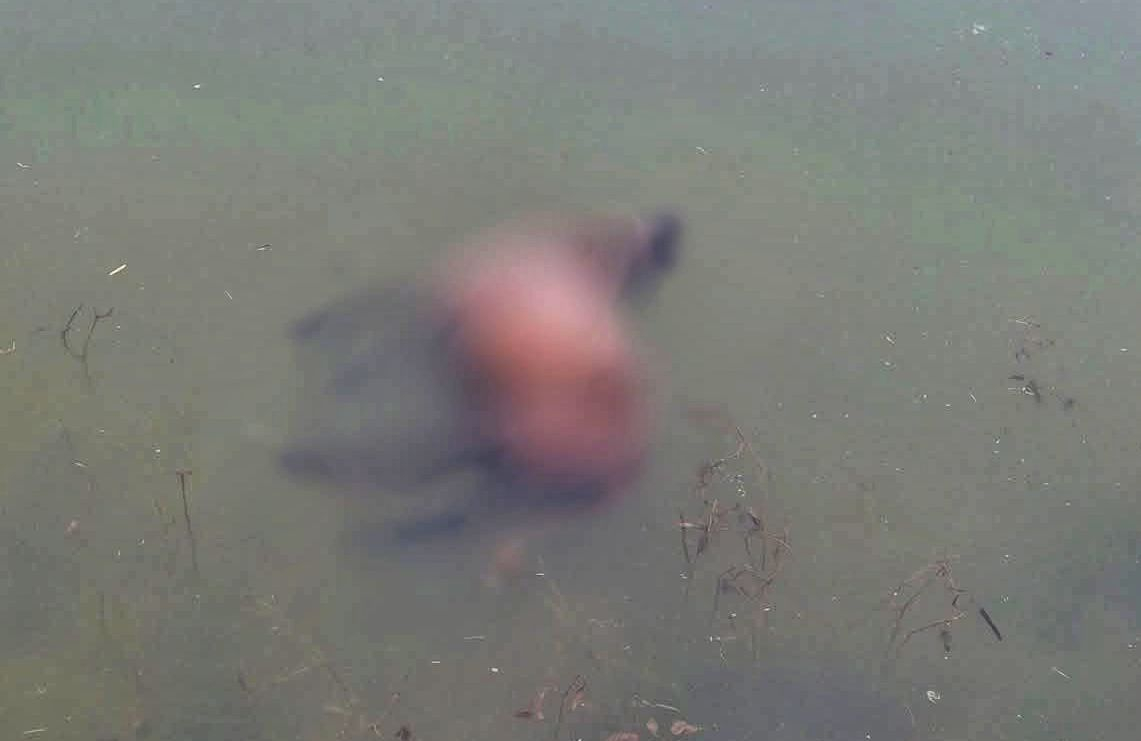 Noc grozy w agroturystyce! Co za bestialstwo