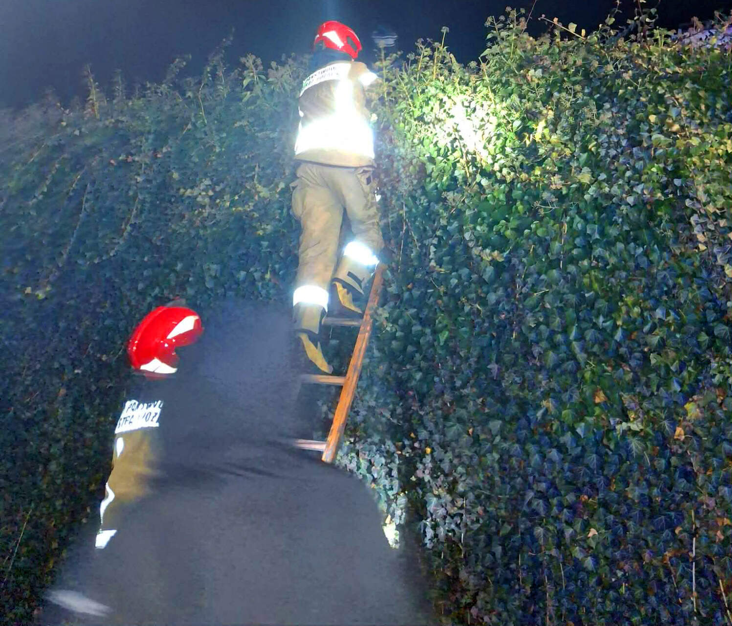 12-latek w krzakach. Co tam robił?