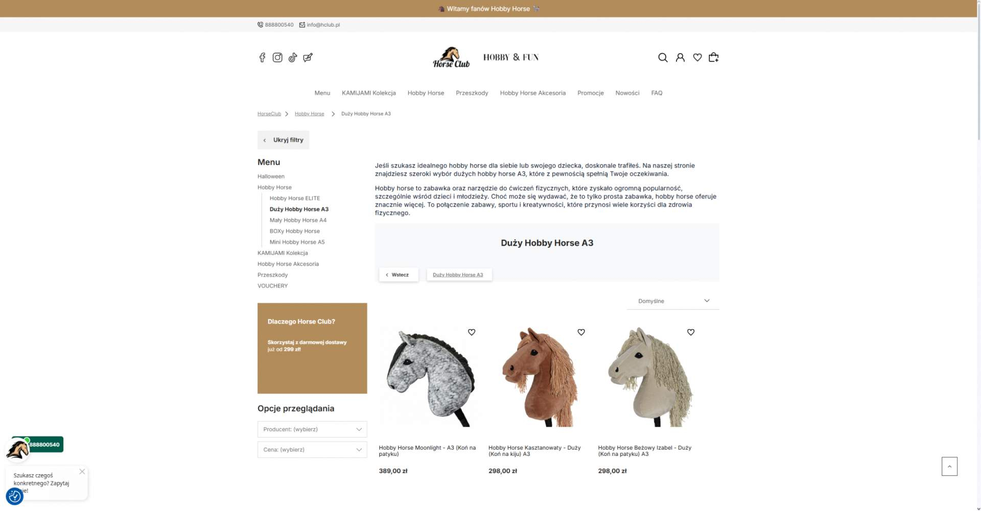 Jak pielęgnować i przechowywać hobby horse A3, by służył przez długie sezony?